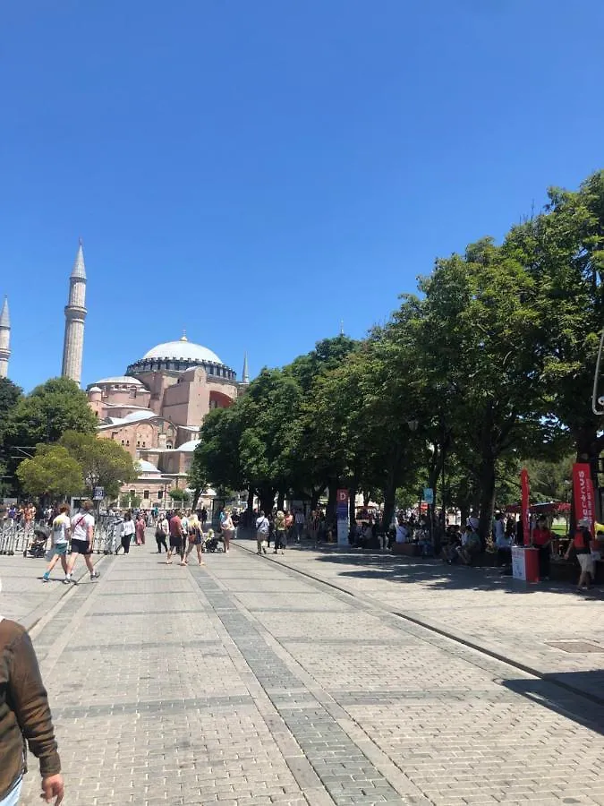 Appartamento Erkul Old City 1 Provincia di Provincia di Istanbul Turchia